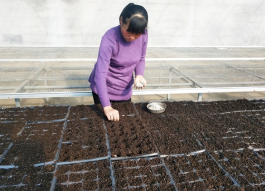 普田润生物有机肥